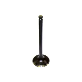 Iv3117a Dnj Meets Or Exceeds Oe Specifications Intake Valve Direct Fit