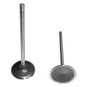 Iv329 Dnj For Chevy S10 1998-2003 Engine Components Intake Valve