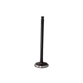 Dnj Iv342 Intake Valve Fits 2013-2015 Chevrolet Spark