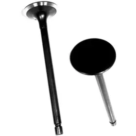 Iv409 Dnj Intake Valve For Ford Probe Mazda 626 Mx-6 1988-1992