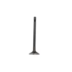 Iv4256 Dnj Intake Valve Fits 2009-2015 Volkswagen Jetta 12-15 Passat