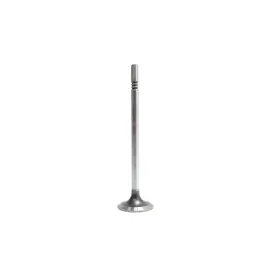 Iv4260 Dnj Meets Or Exceeds Oe Specifications Intake Valve Direct Fit