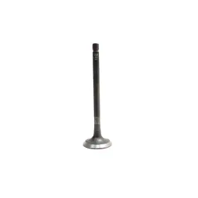 Iv4299 Dnj Intake Valve Direct Fit Fits 2011-2017 Ford F-150 11-17 Mustang