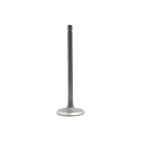 Iv431 Dnj Meets Or Exceeds Oe Specifications Intake Valve Direct Fit