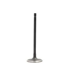 Iv4349 Dnj Intake Valve Fits 2013-2014 Subaru Outback 13-14 Legacy