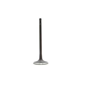 Dnj Iv4427 Intake Valve Fits 2008-2012 Mercedes-benz C300