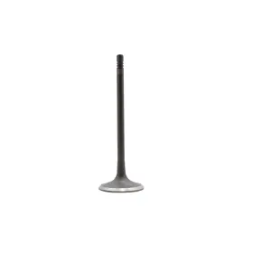 Iv4427 Dnj Intake Valve Fits 2008-2012 Mercedes-benz C300