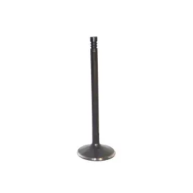 Iv526 Dnj Intake Valve Direct Fit