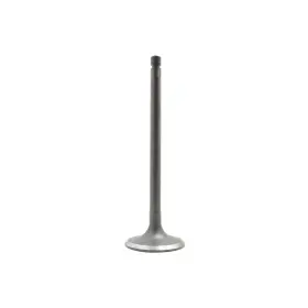Iv600 Dnj Intake Valve Direct Fit