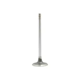 Iv605 Dnj Intake Valve Direct Fit