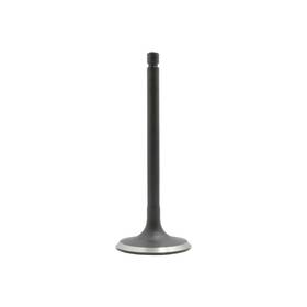 Dnj Iv606 Intake Valve Fits 1984-1988 Nissan 200sx 84-89 Stanza