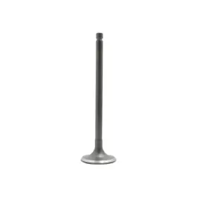 Iv607 Dnj Intake Valve Direct Fit
