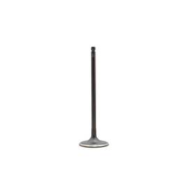 Dnj Iv627 Intake Valve Fits 2009-2011 Nissan Versa