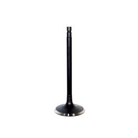 Dnj Iv632 Intake Valve Fits 95-01 Nissan Maxima