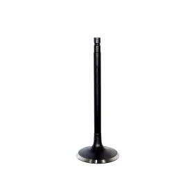 Iv632 Dnj Intake Valve Fits 95-01 Nissan Maxima