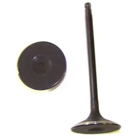 Iv657 Dnj Intake Valve For Nissan Rogue Altima Sentra 2007-2012