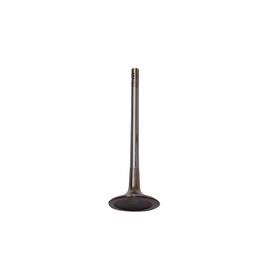 Dnj Iv802b Intake Valve Fits 08-10 Audi R8 07-08 Rs4