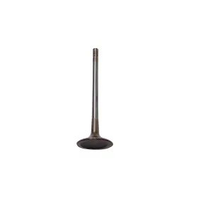 Iv802b Dnj Intake Valve Fits 08-10 Audi R8 07-08 Rs4