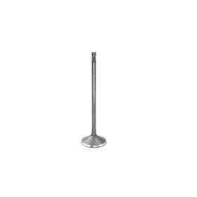 Dnj Iv856 Intake Valve Fits 2009-2016 Bmw Z4 07-11 335i