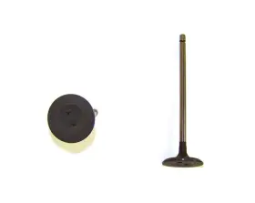 Iv928 Dnj Meets Or Exceeds Oe Specifications Intake Valve Direct Fit