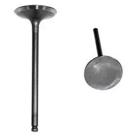 Iv960 Dnj For Toyota Sienna 2000 Engine Components Intake Valve