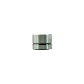 Lif4268 Dnj Valve Lifter