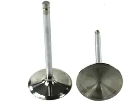 15kgpm57 Dnj Rock Intake Valve For Camaro Corvette Ss Caprice Express 2500 3500 4500
