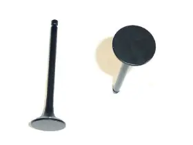 57mqbs68 Dnj Rock Exhaust Valve For Santa Fe Tiburon Sonata Tucson 2003 2006 2007 1999