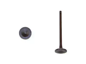 74663gsgg Dnj Rock For 2003-2005 Ford E350 Club Wagon Exhaust Valve 2004