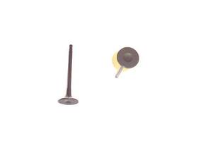 Dnj Rock 79qhvvqn Exhaust Valve Fits Equator 2009-2012 2.5l 4 Cyl Qr25de 16-valve Dohc
