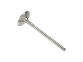 89mw45c Dnj Rock Intake Valve Fits 2006-2013 Audi A3