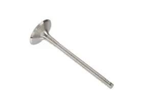 Bf599bf Dnj Rock Intake Valve For 2010-2014 Audi A5 2011 2012 2013