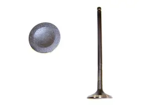 Qs216pn Dnj Rock Exhaust Valve For 1999-2010 Subaru Forester 2001 2004 2003 2005 2002