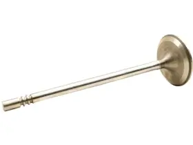 Yw56z7 Dnj Rock Intake Valve For Bronco Sport Edge Escape Explorer Focus Fusion Maverick