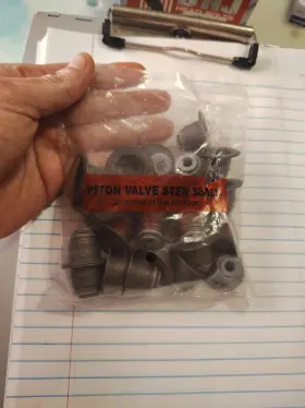 Vss3158 Dnj Set Of 24 Valve Stem Seals For Chevy Olds Chevrolet Trailblazer Ext