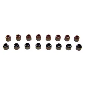 Vss3165 Dnj For Chevy Silverado 1500 99-01 Valve Stem Oil Seal Set Engine Components First