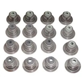 Vss432 Dnj For Ford Mustang 2015 Engine Components Valve Stem Oil Seal Set