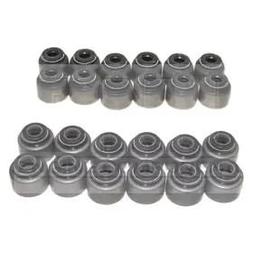 Vss969 Dnj For Toyota Tacoma 2005-2013 Engine Components Valve Stem Oil Seal Set