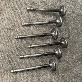 954302 Dodge 1949 P18 Flathead 6 Engine Exhaust Valves - Set Of Very Decent
