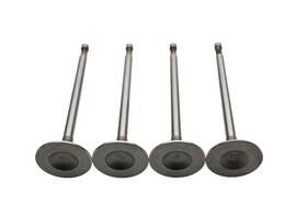 Dokuro 021-0617 44-03496 Intake Valves Qty 4 Nos