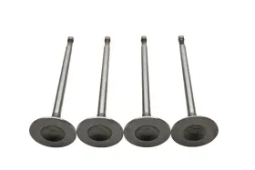 44-03496 Dokuro 021-0617 Intake Valves Qty 4 Nos