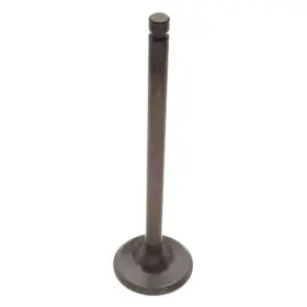W0133-1638889-dko Dokuro For Nissan 240sx 1989-1990 Intake Valve