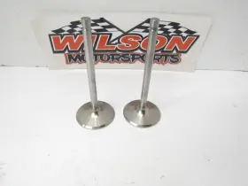 41100-206 Dynagear 2 New 11/32 X 2.055 5.015 Stainless Steel Valves Manley Ferrea