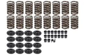 5794 Edelbrock Sure Seat Valve Spring Kit