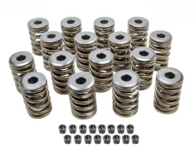 5895 Edelbrock Sure Seat Valve Spring Kit