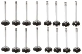 Tinapants09 Elgin E-1763b Special For Fits 1970-1972 Ford Mercury 351c Cleveland
