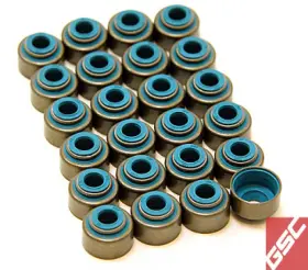I-1028 Elgin Gsc P-d 2jz Viton 6mm Valve Seal Kit Set Of 12