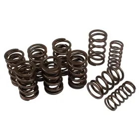 00-4037-0 Empi Dual Valve Springs For Aircooled Vw 16 Dunebuggy And