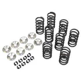 00-4045-0 Empi Single Valve Spring Kit For Aircooled Vw Complete Dunebuggy And