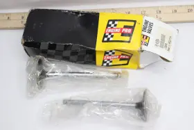 01-01934 Engine Valves 2-pk Intake Valve